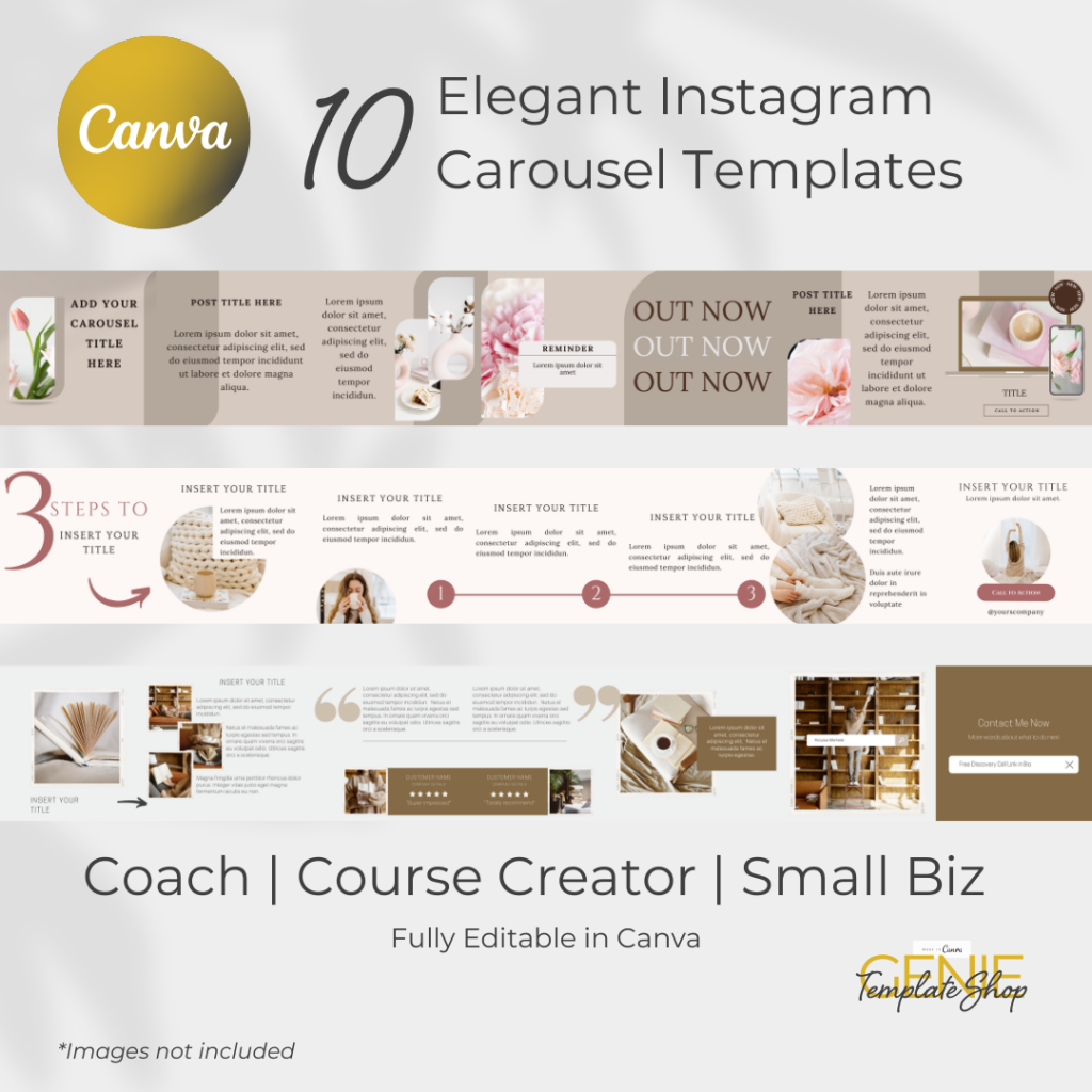 Canva Carousel Mastery | Digitally Dazzling®