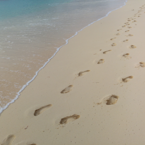Read more about the article Digital Footprints – Your Online Presence